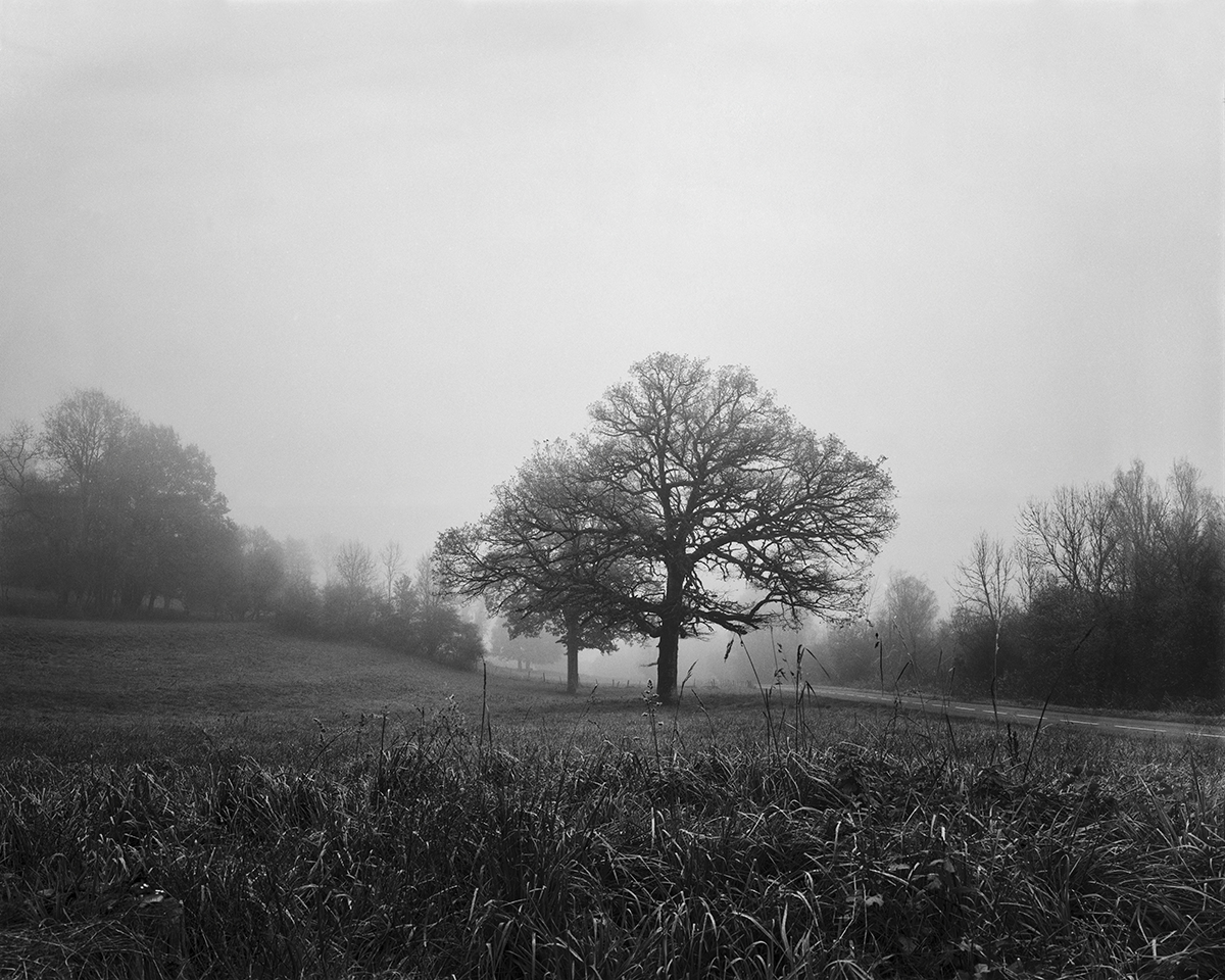 Campagne de Lhuis
