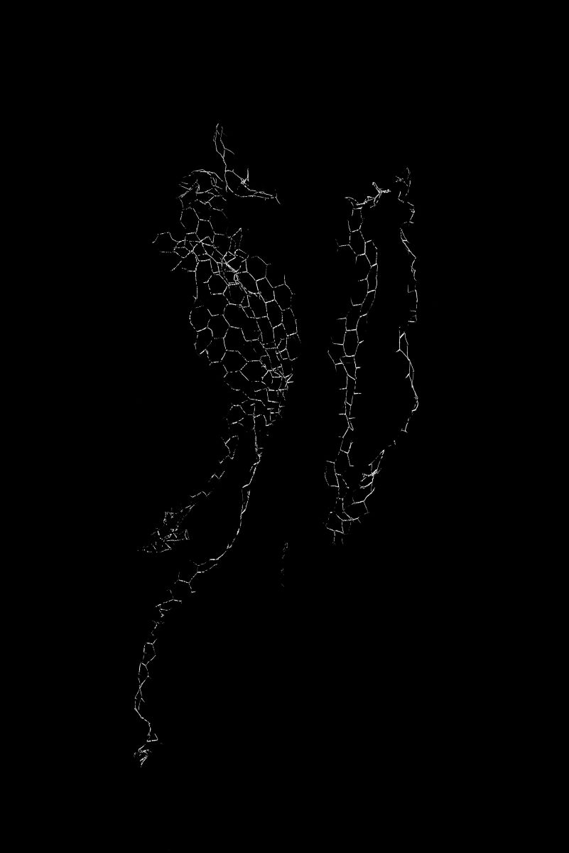 Wired