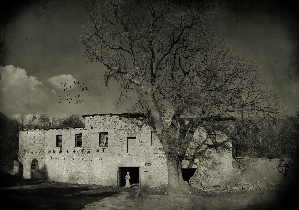 House Of Birds
