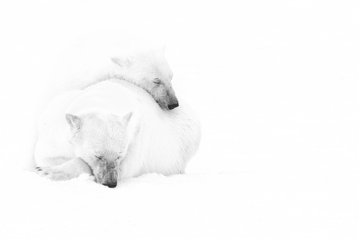 Together