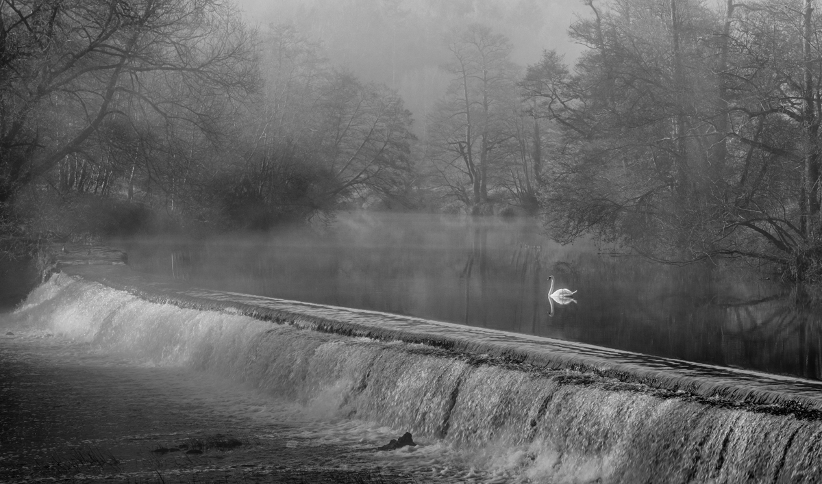 Misty Morning