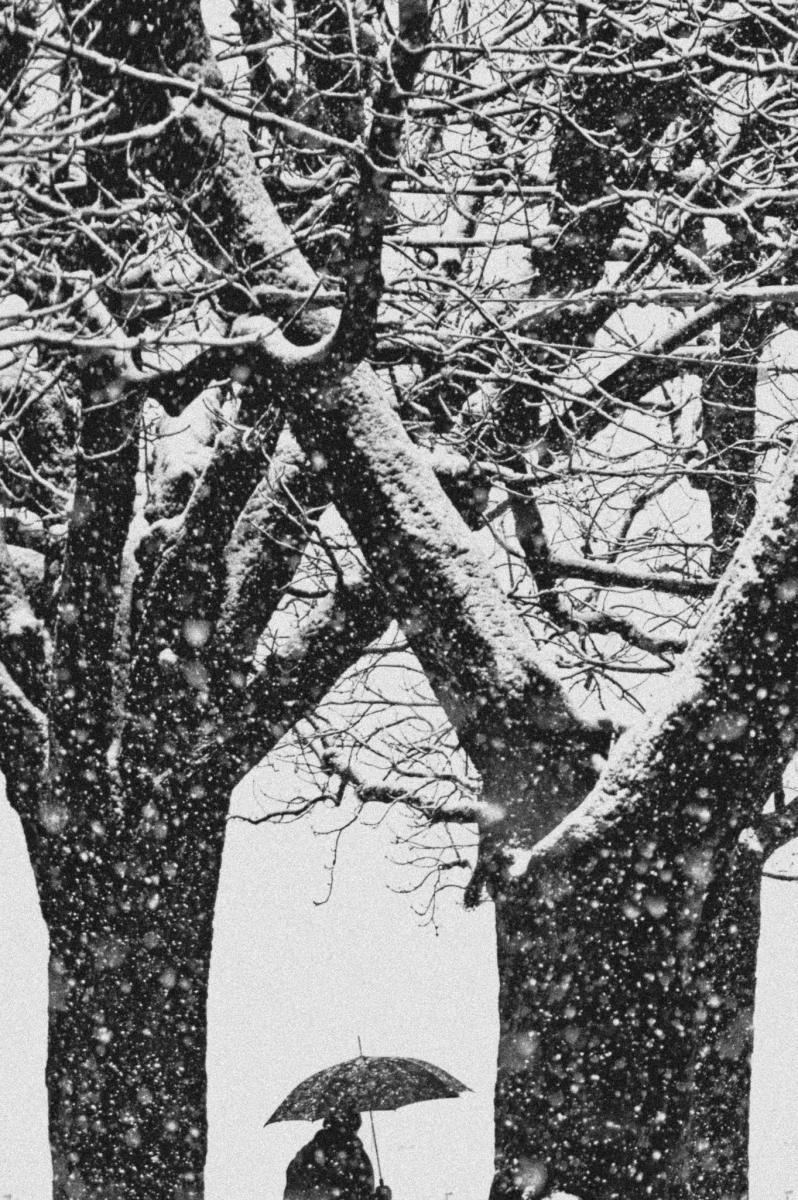 Snowfall over Basel (ongoing part of Project: Poems of the passing)