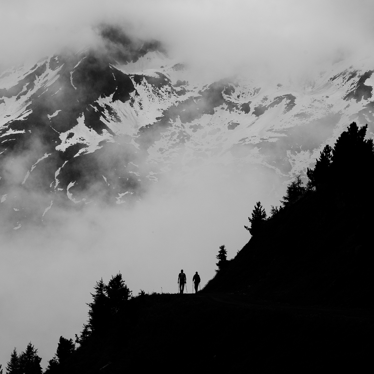 Dans la brume des montagnes