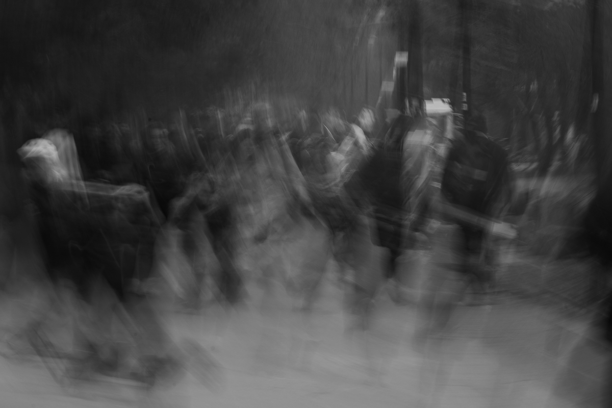 The Crowd