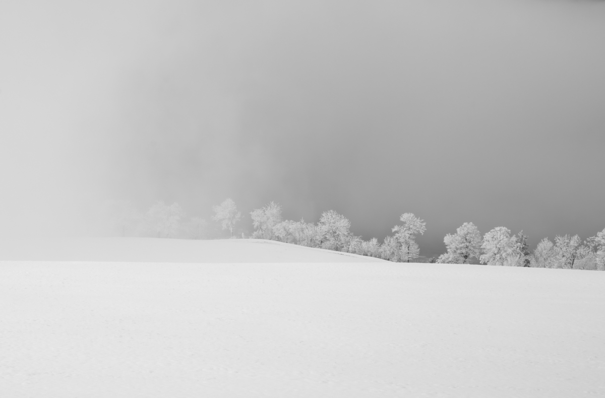 Winter 