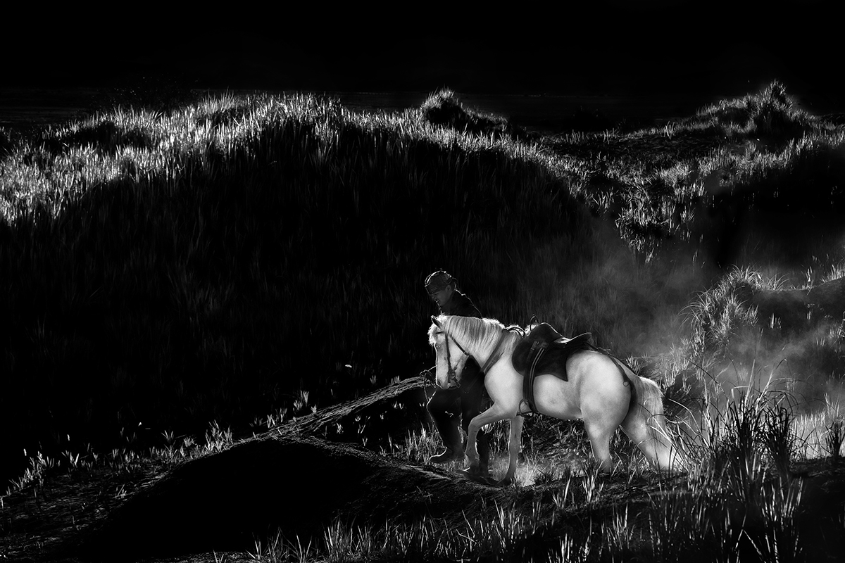 A trip with my horse