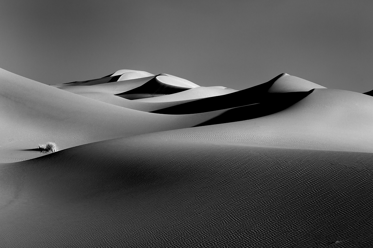     BEAUTÉ SAHARIENNE                                                    Dunes et dromadaires
