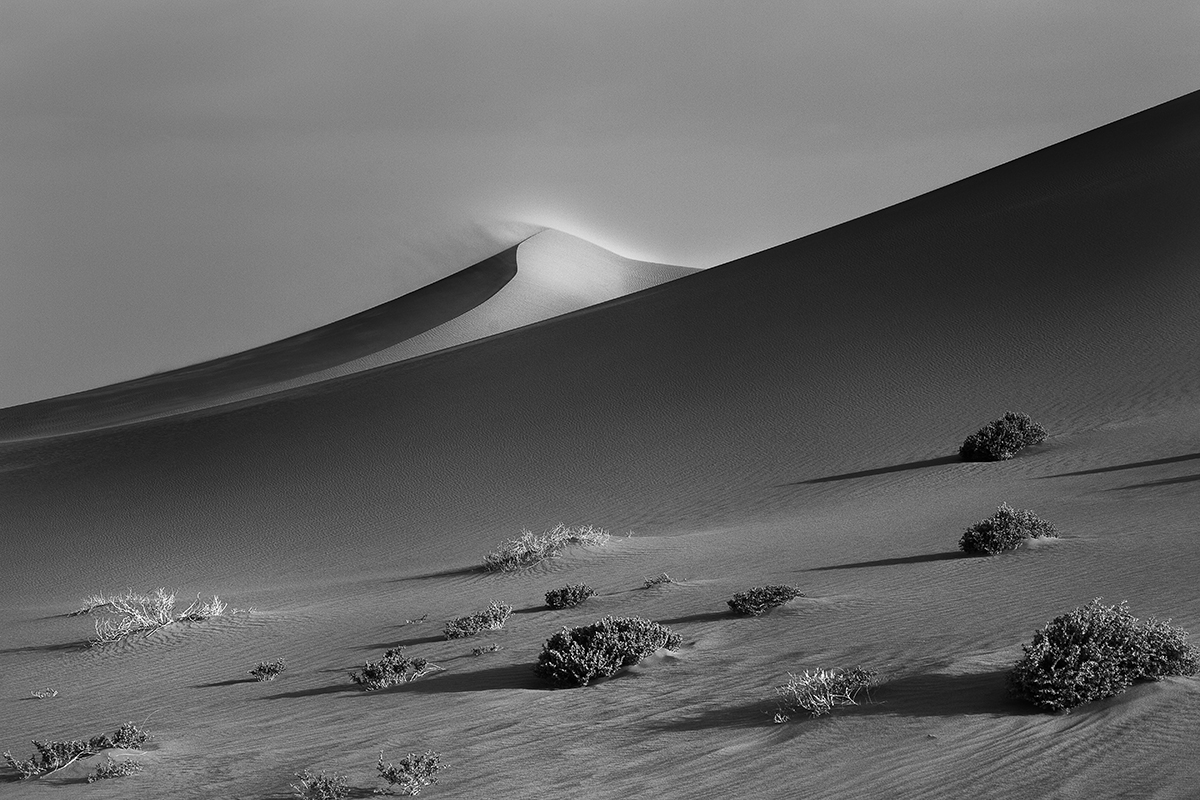     BEAUTÉ SAHARIENNE                                                    Dunes et dromadaires