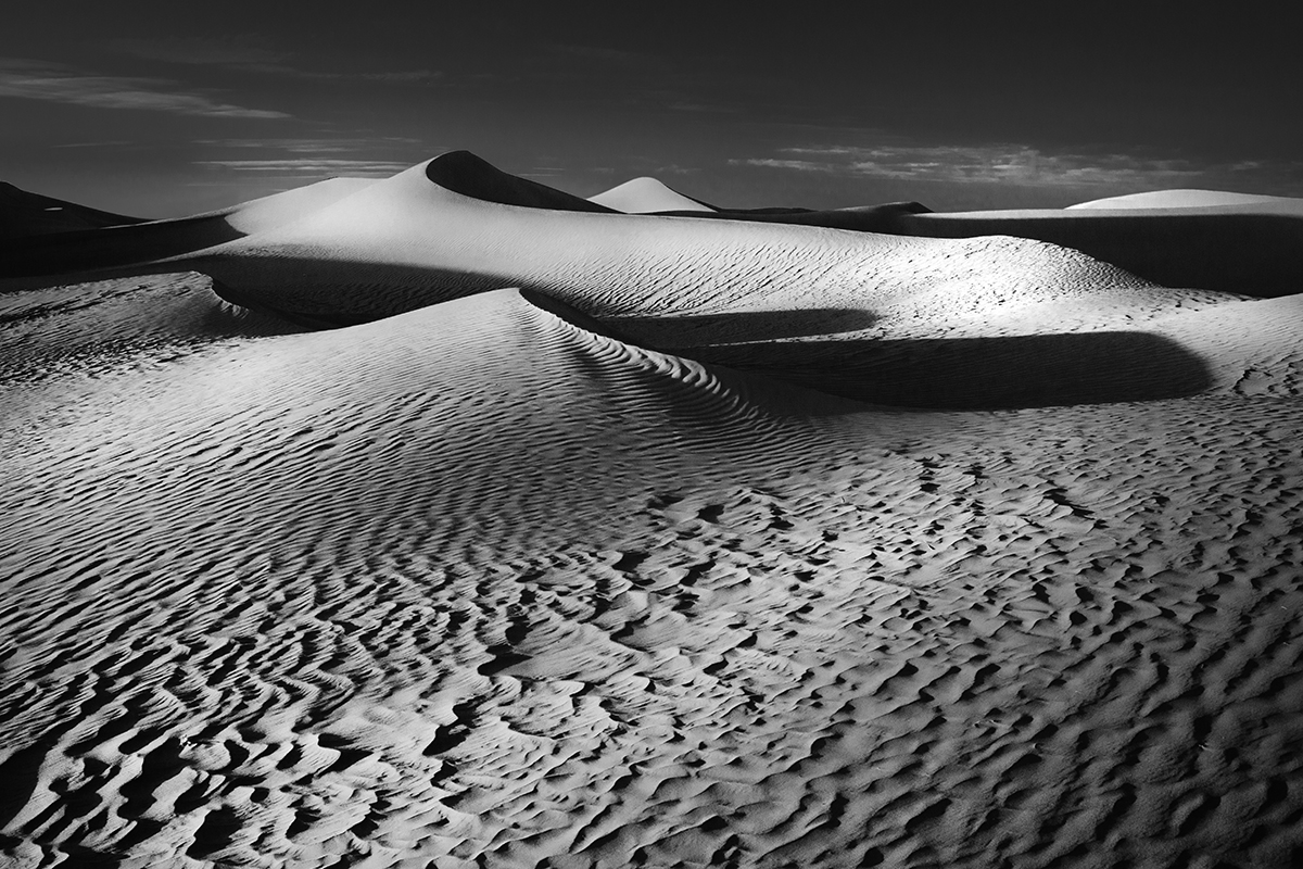     BEAUTÉ SAHARIENNE                                                    Dunes et dromadaires