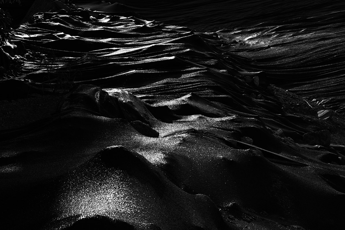 Mountain and Water 1