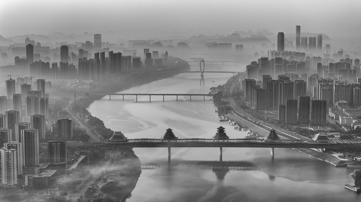 Amazing Dragon City