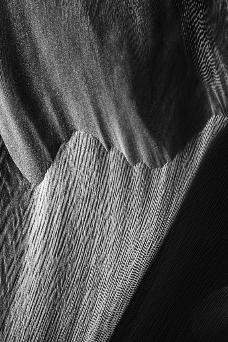 The Desert Sand