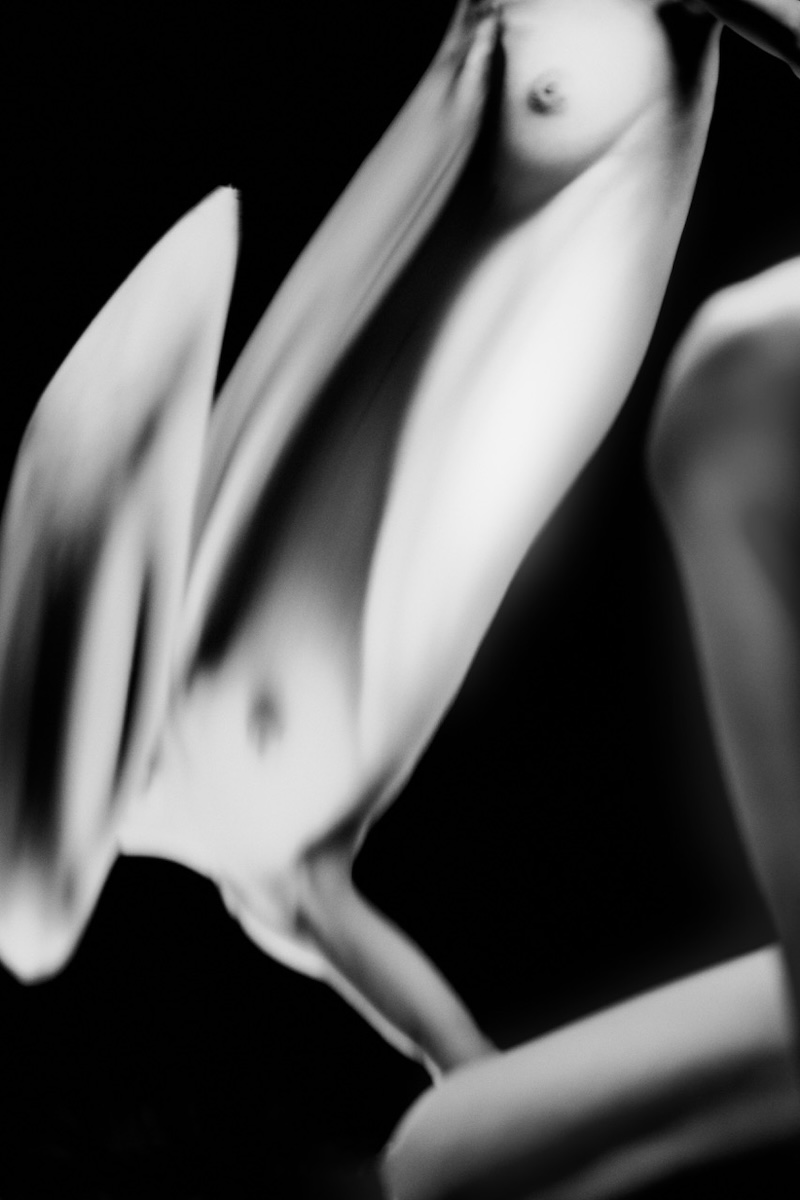 Beauty Distorted: A Cosmic Reflection on Warped Aesthetics.