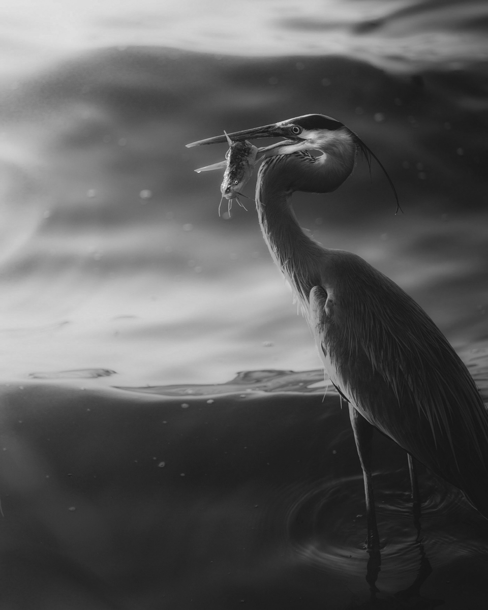 Life and death 