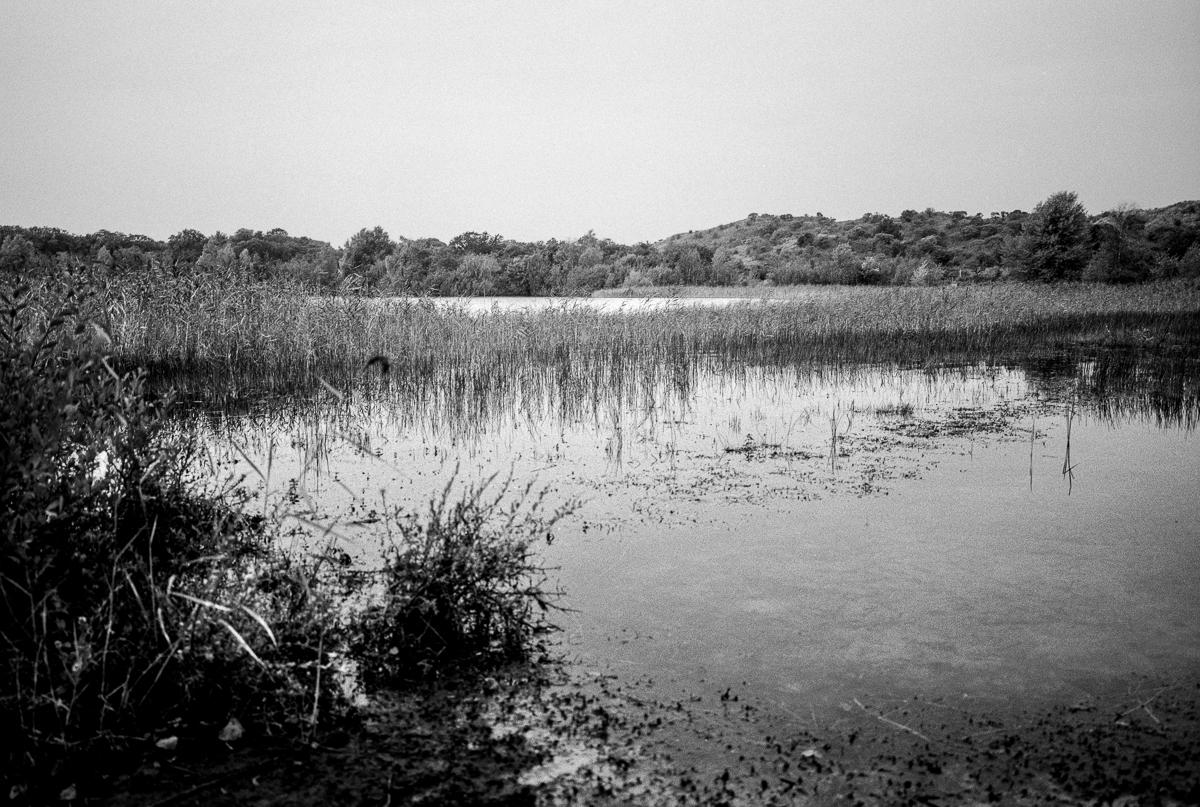 Kennemer dunes, 
