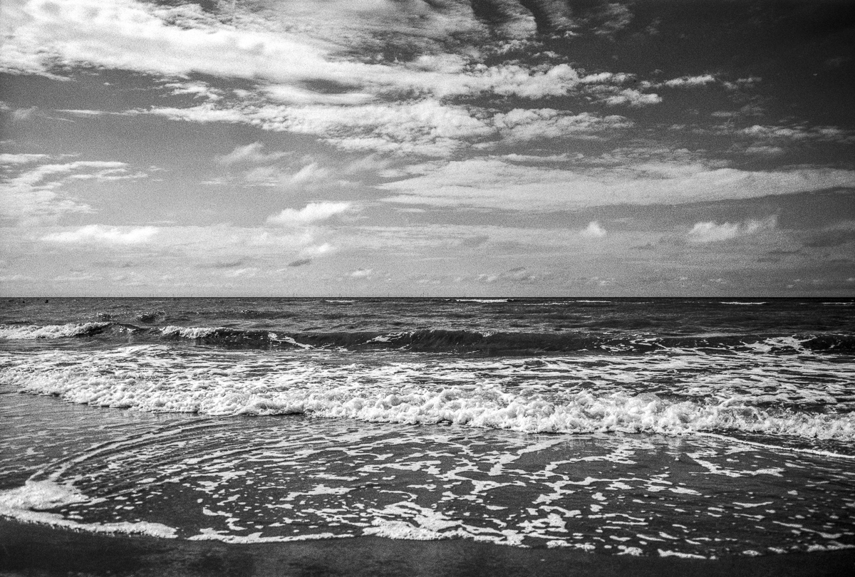 Kennemer dunes, 