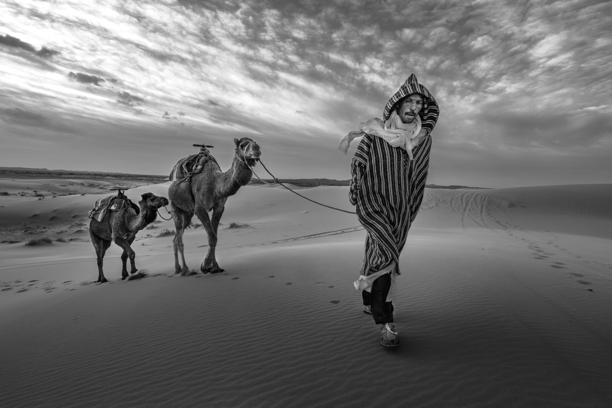 The Camel Man