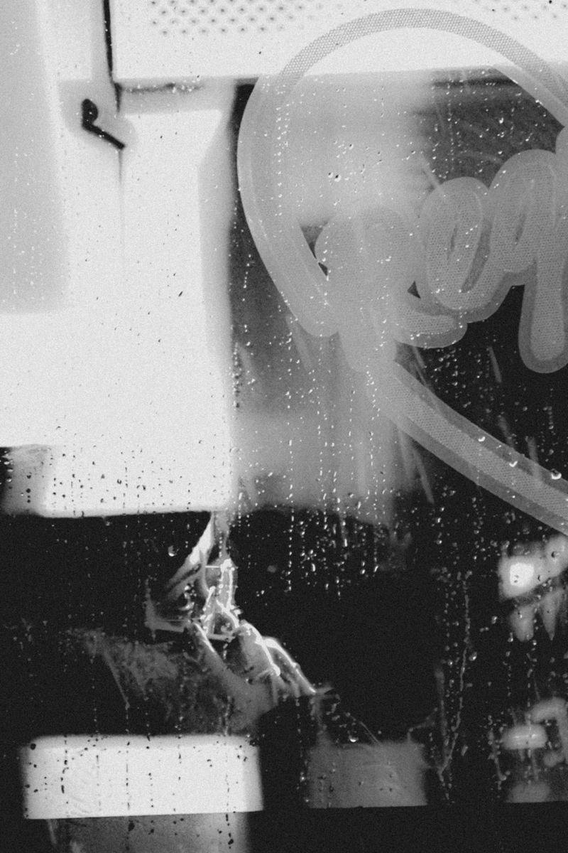 Poems of the passing