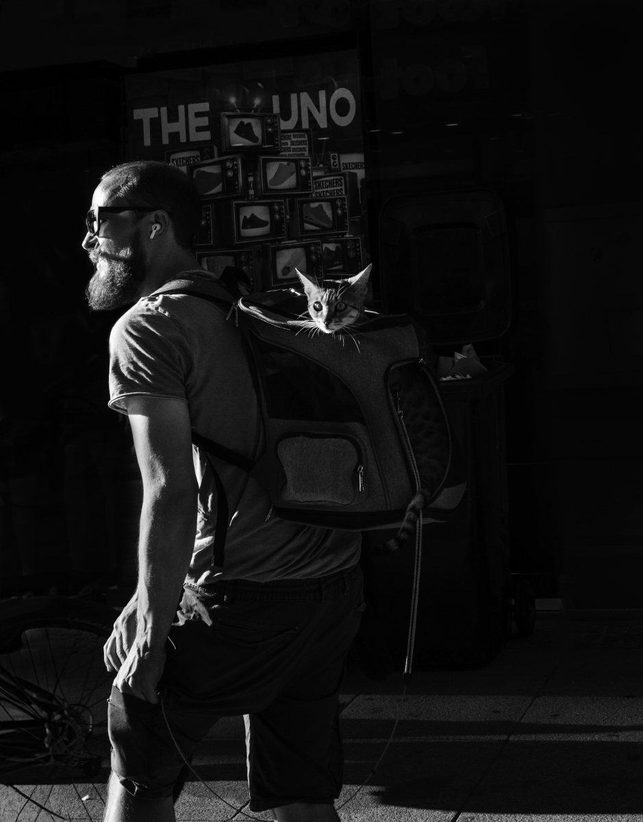 Loneliness Through the Streets