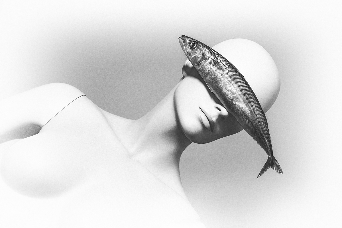 Quiet as a Fish