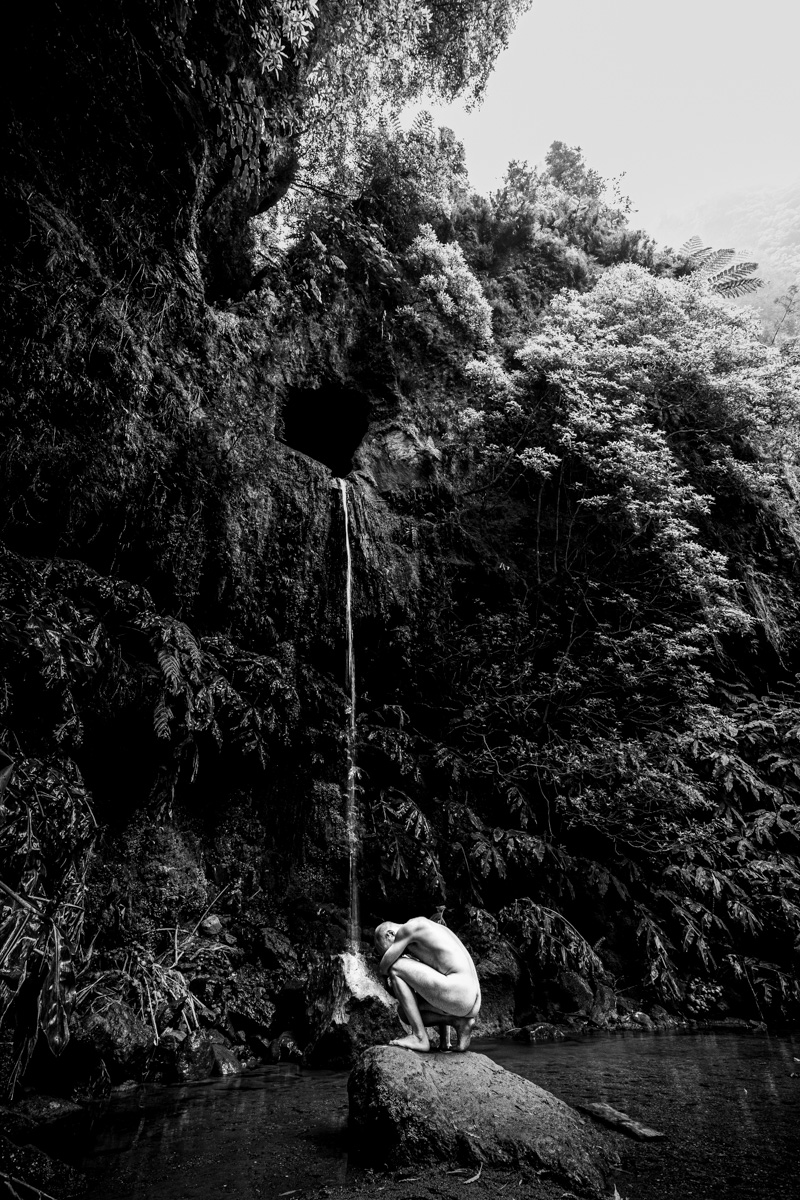 Nature's embrace