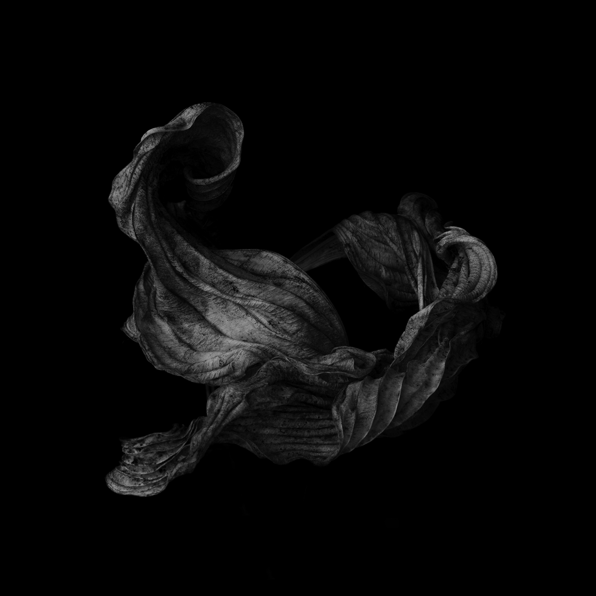 Dancescapes