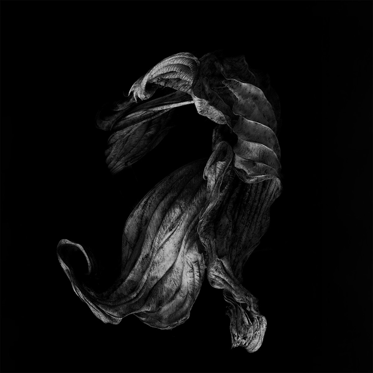 Dancescapes