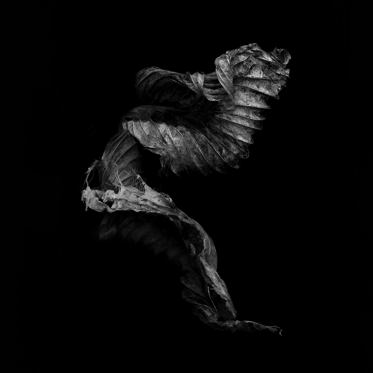 Dancescapes