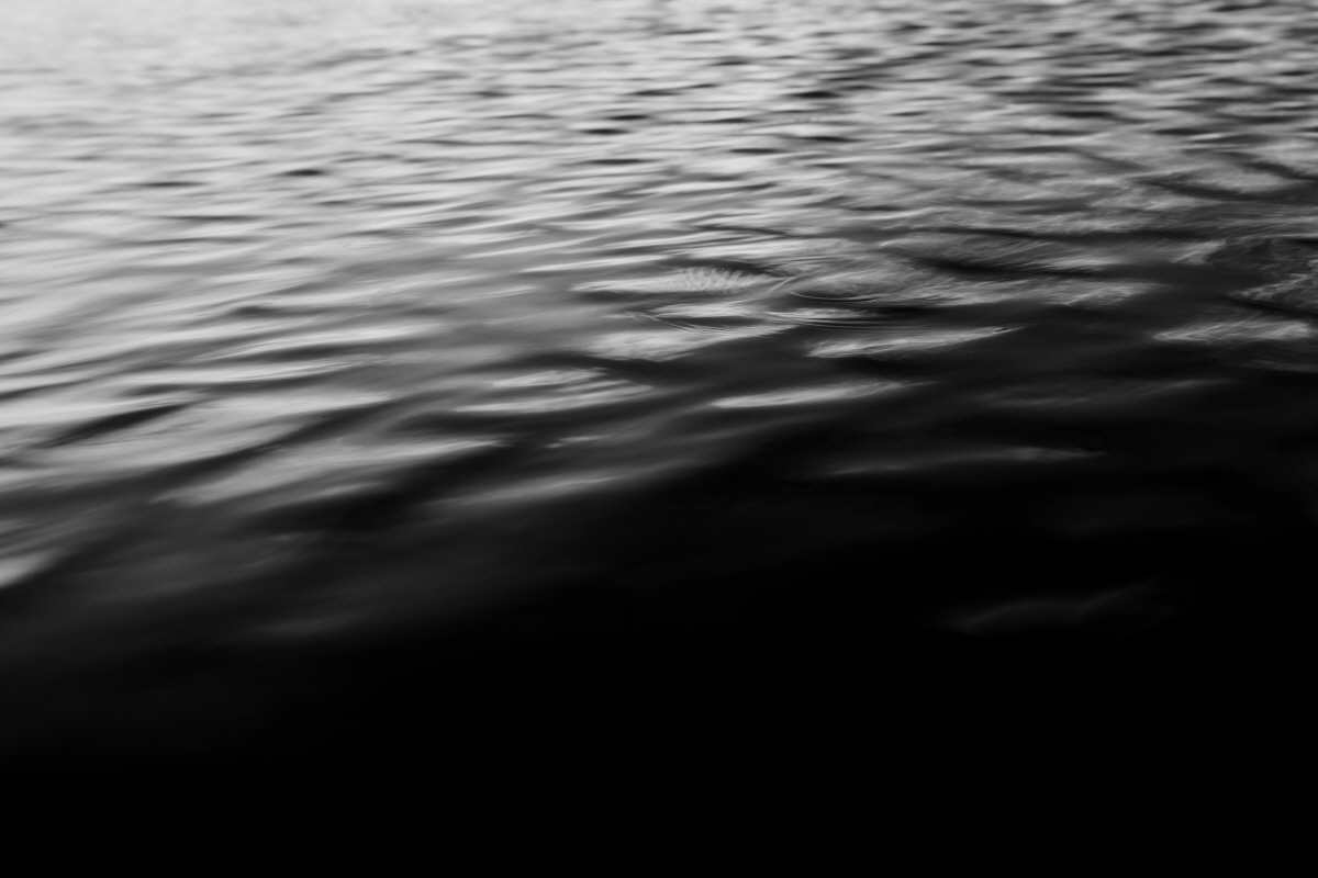 cycle of stillness