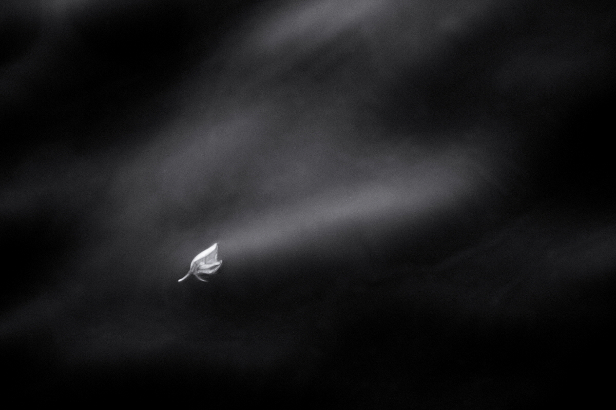 cycle of stillness