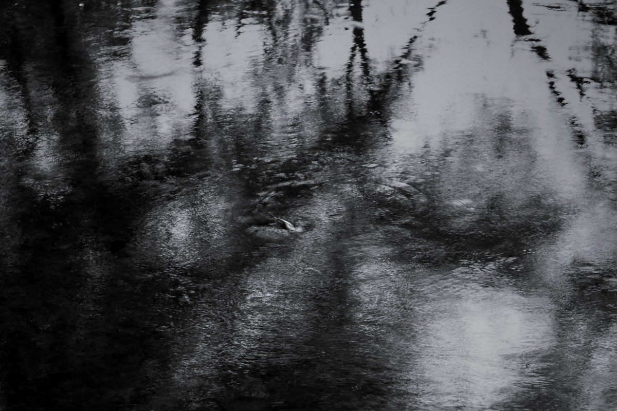 cycle of stillness