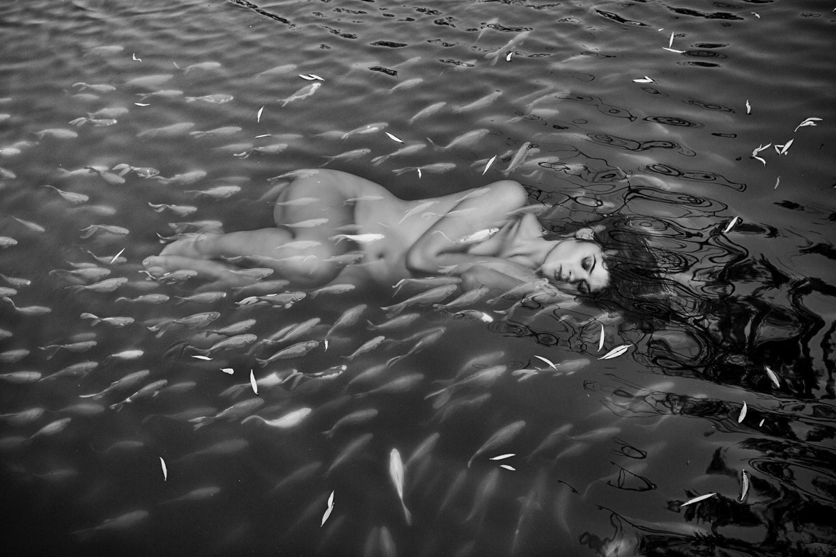 An Exploration of Life and Nature