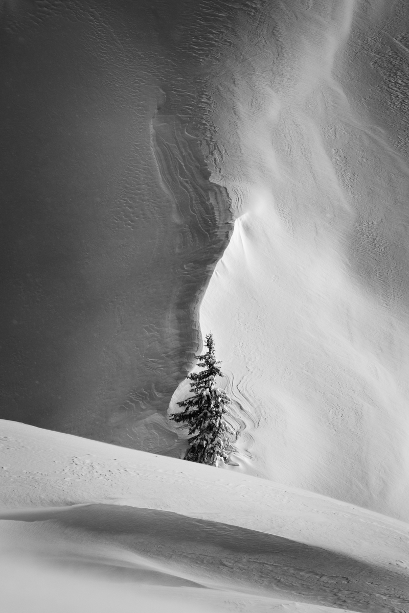 The whispers of winter
