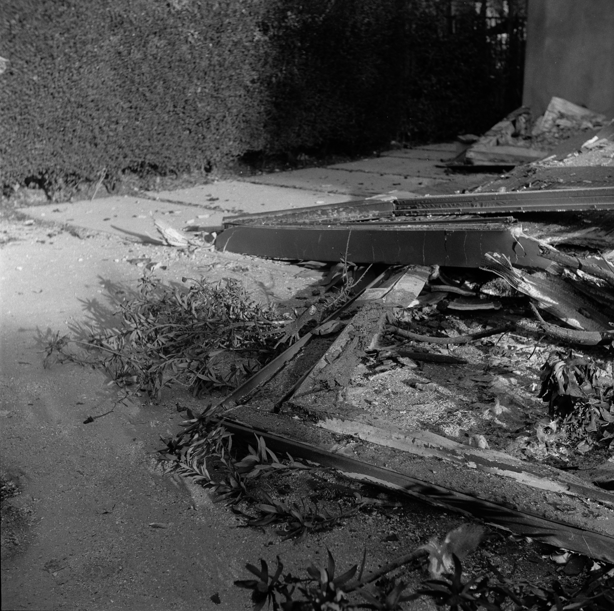 What's Left Behind