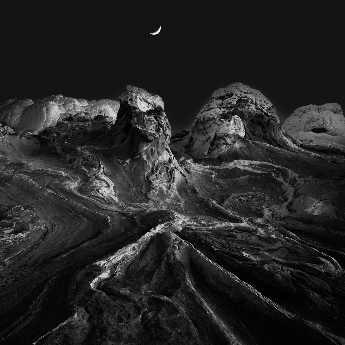 Moonlit Guardians