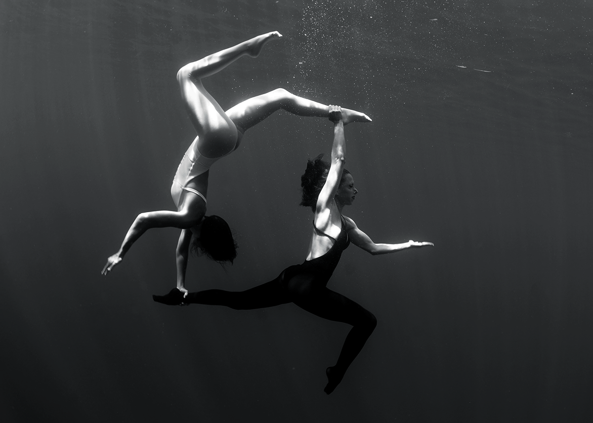 Yin and Yang - 