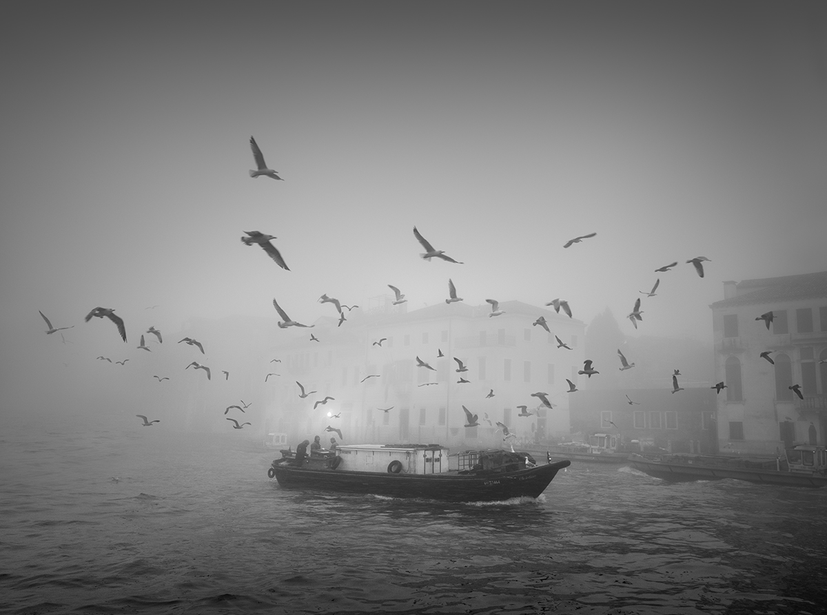 Foggy Venice