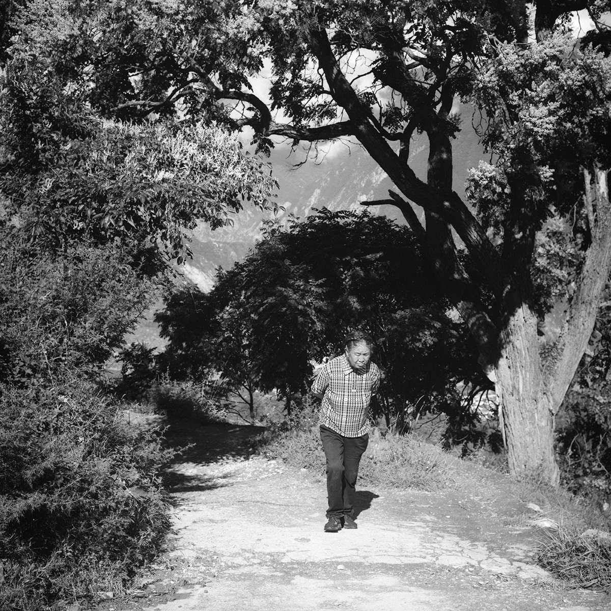 Yonder