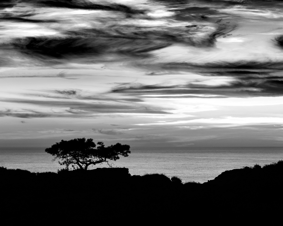 Torrey Pines Natural State Preserve Portfolio 2