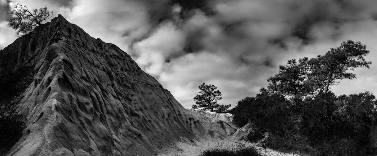 Torrey Pines Natural State Preserve Portfolio 2