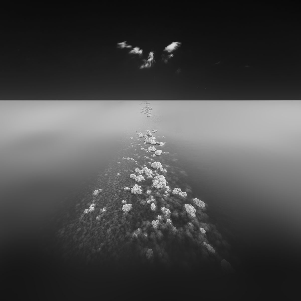 Luces y formas