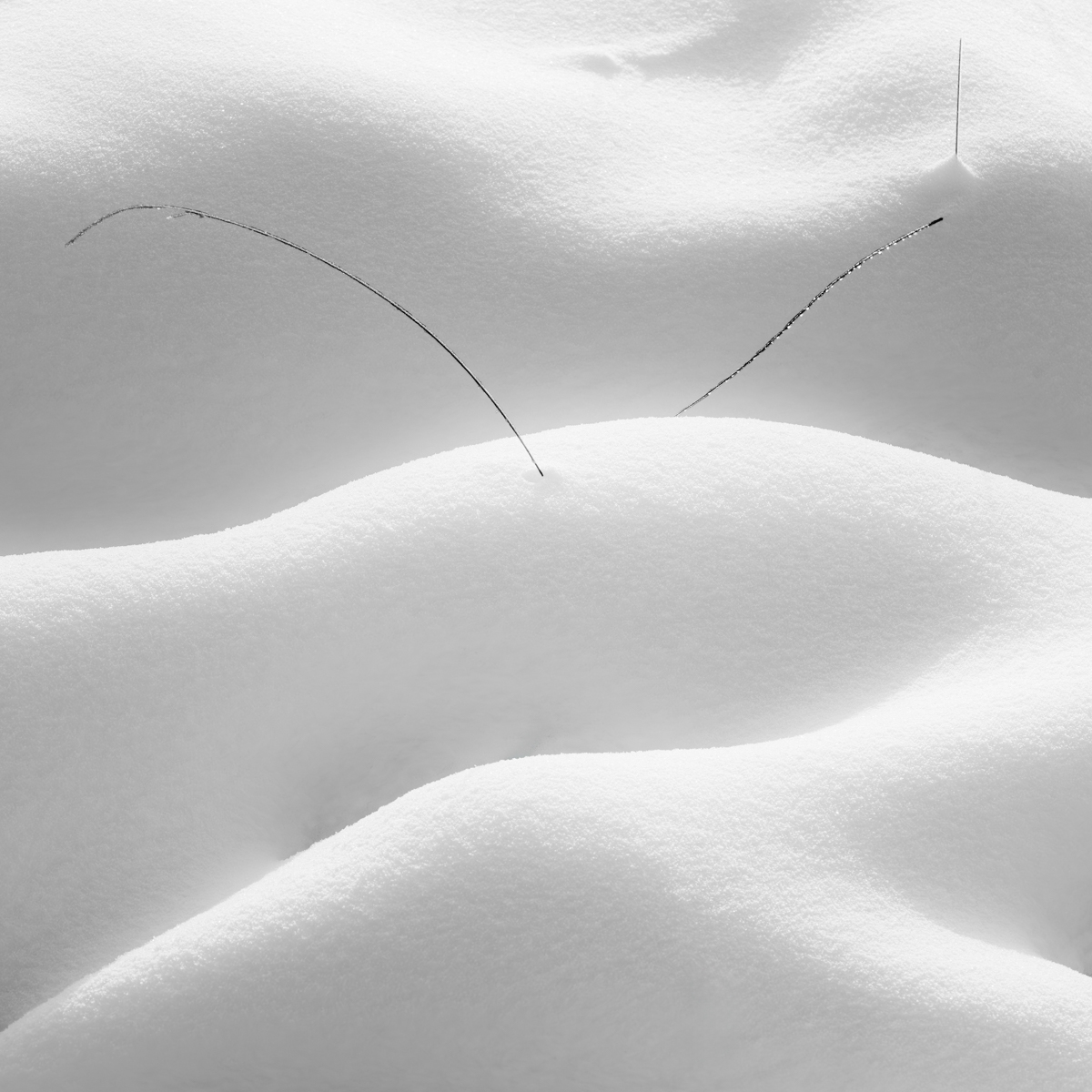 Sometimes it snows in April
