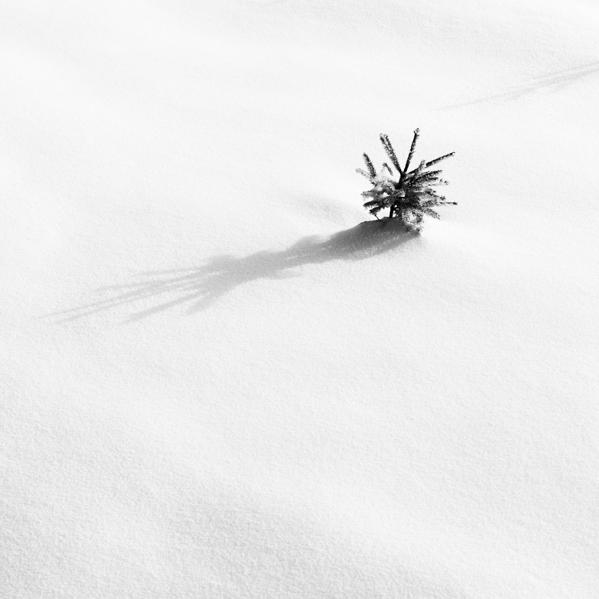 Sometimes it snows in April