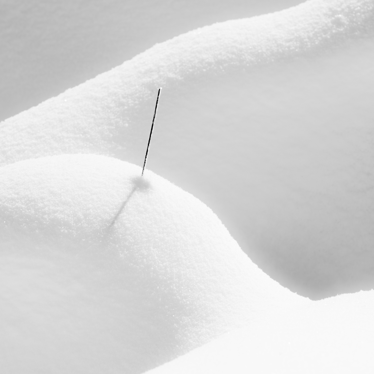 Sometimes it snows in April