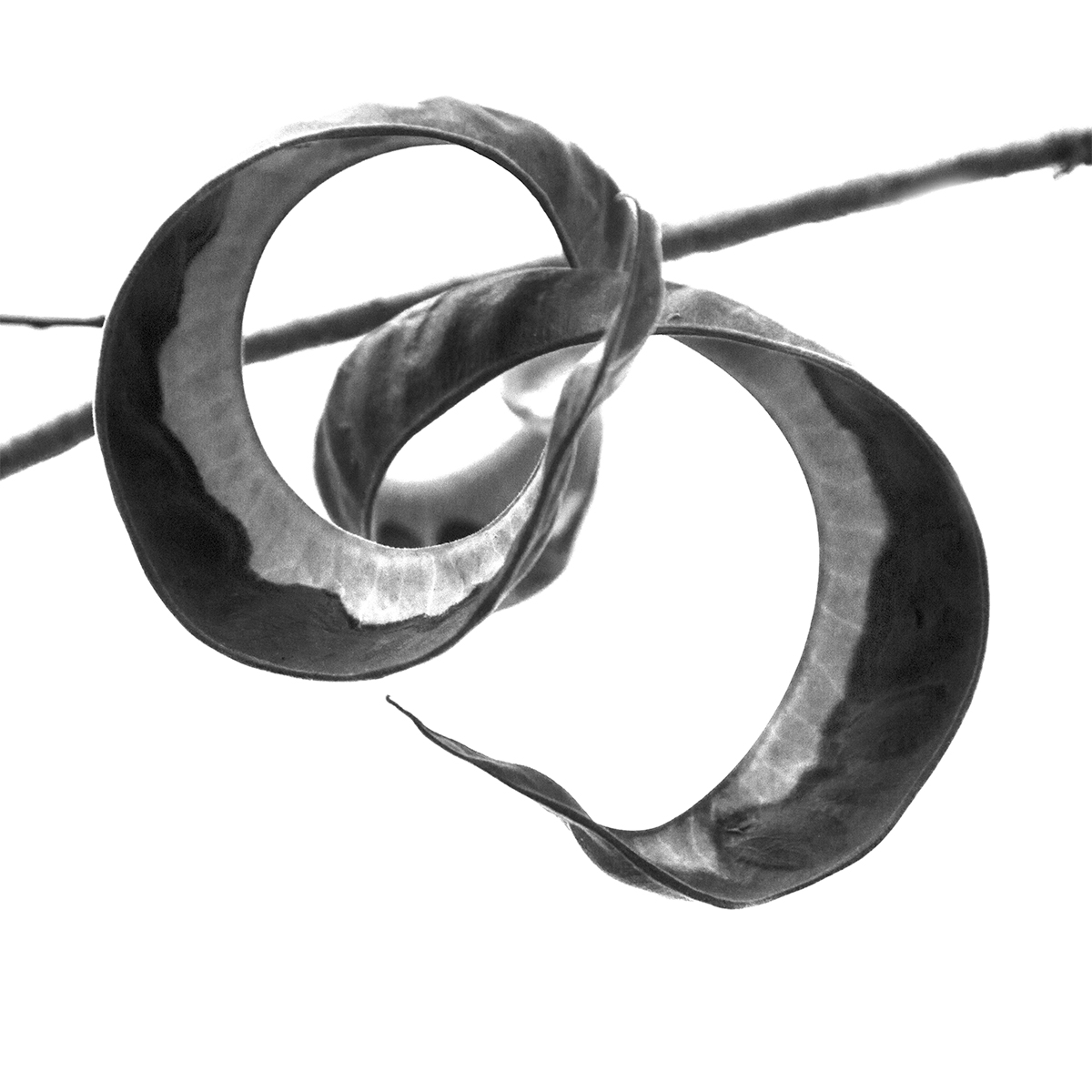 Calligraphy