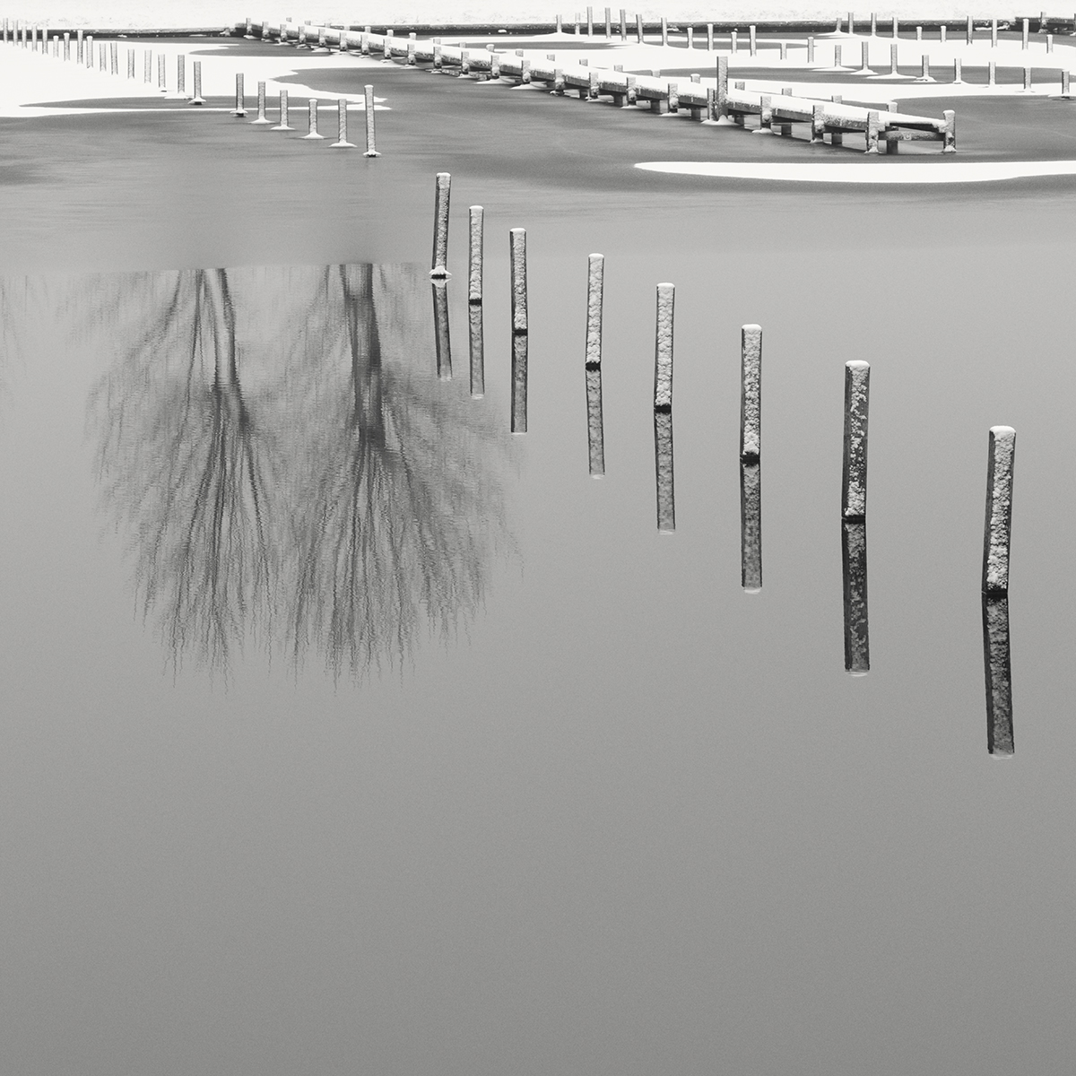 Winter in F Minor 