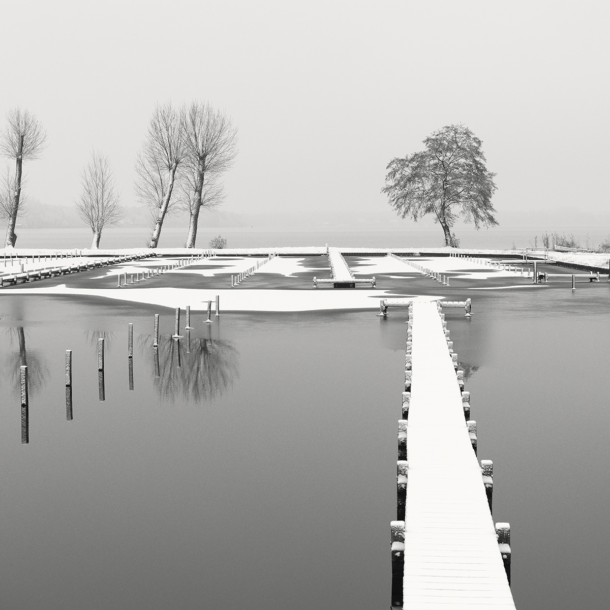 Winter in F Minor 