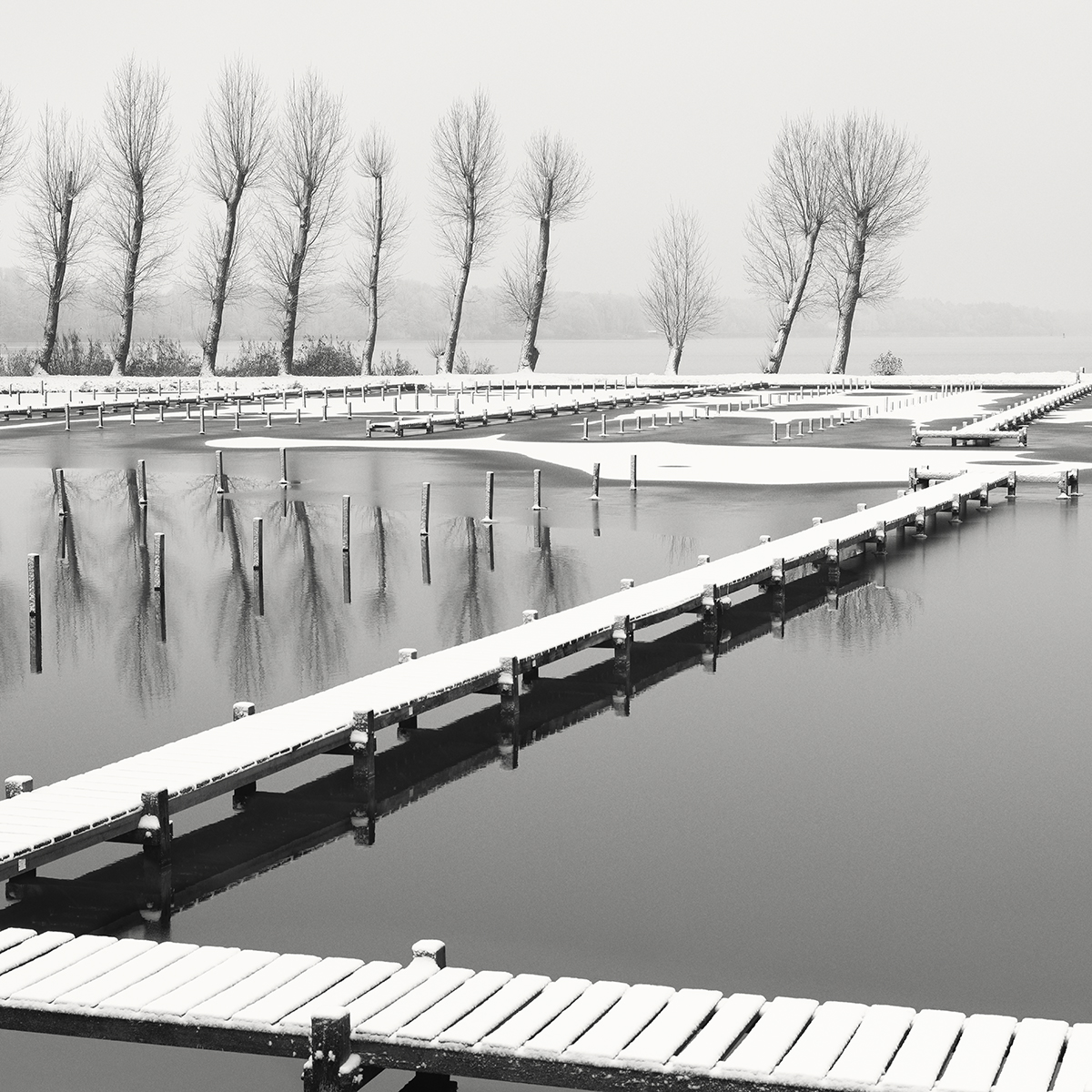 Winter in F Minor 