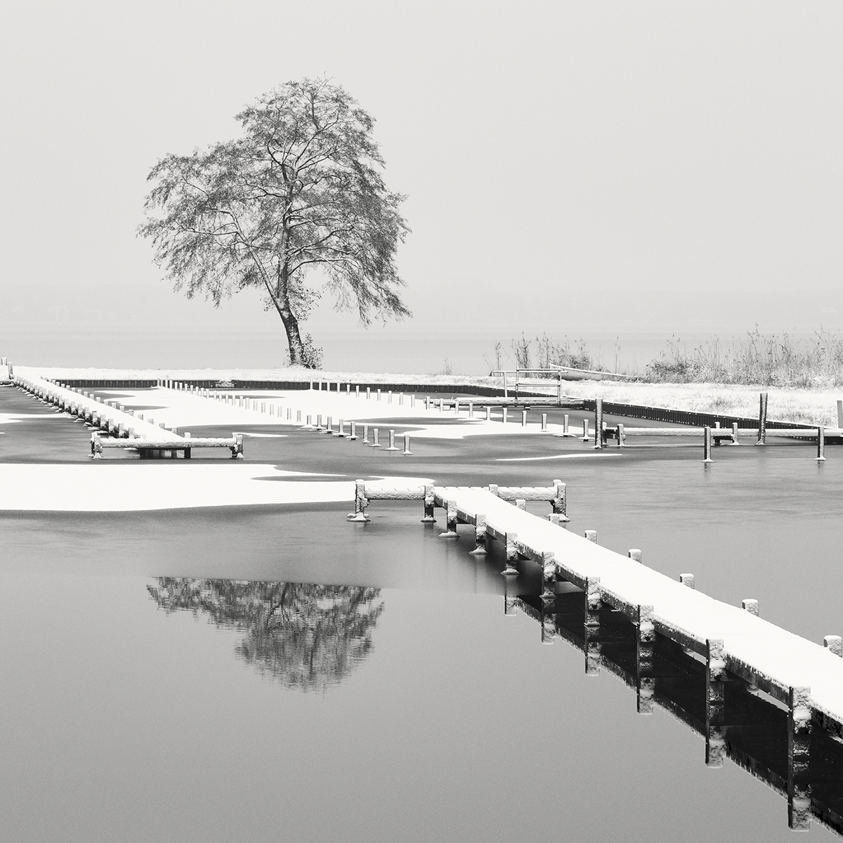 Winter in F Minor 