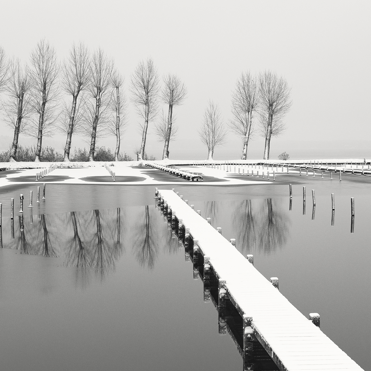 Winter in F Minor 